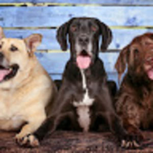 Meet your Posher, Taryn